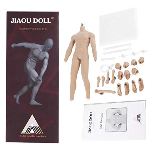 JIAOU DOLL 1/6 Scale Super Flexible Seamless Muscular Male Body, 12in –  ToysCentral - Europe