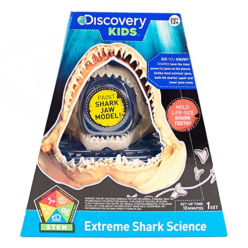 Discovery Kids Extreme Shark Science Teeth Molding Kit