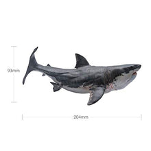 Load image into Gallery viewer, PNSO Prehistoric Animal Models:Patton The Megalodon (Big White Shark) 6.2&quot;
