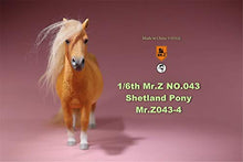 Load image into Gallery viewer, Mr.Z 1/6 Shetland Pony Horse Figure Equidae Farm Animal Model Realistic Educational Painted Figure Resin Perissodactyla Toys Collector Home Decoration Gift Birthday for Adult (Yellow)

