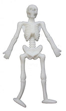 Load image into Gallery viewer, Curious Minds Busy Bags Bulk 36 Stretchy Skeletons - Novelty Toy Fidget Set for Doctors and Medical Professionals - Halloween (3 Dozen)
