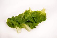 Load image into Gallery viewer, Just Dough It Fake Loose Lettuce Leaves
