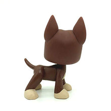 Load image into Gallery viewer, QYXM 4Pcs LPS Pet Shop,Q House Collect,LPS Pet Shop Cartoon Animal Cat Dog Figures Collection,for Kids Gift,#1439+817+577+1519
