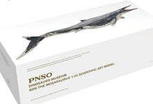 Load image into Gallery viewer, PNSO Ron The Mosasaurus 1/35 Dinosaur Model Toy Collectable Art Figure
