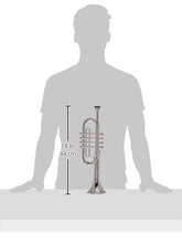 Load image into Gallery viewer, Click n&#39; Play Set of 2 Musical Wind Instruments for Kids - Metallic Silver Saxophone and Trumpet Horn
