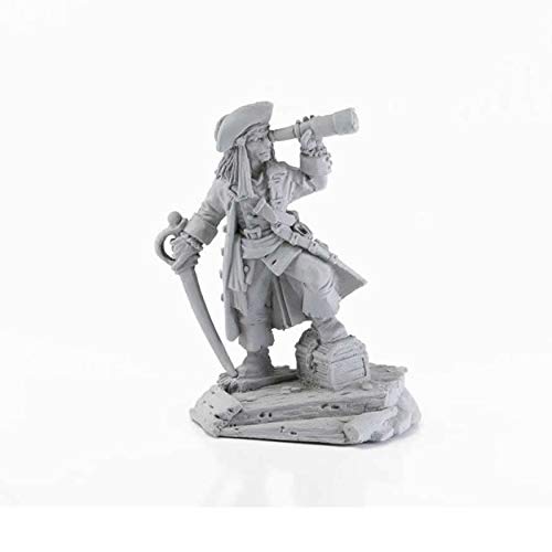 Pirate with Spyglass Miniature 25mm Heroic Scale Figure Dark Heaven Legends Reaper Miniatures