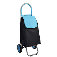 Foldable Portable Shopping Cart Creative Two-Wheeled Multi-Function Shopping Cart Home Grocery Shopping Cart (Color : A)