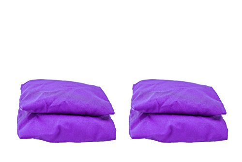 Purple Bean Bags (Set of 4)