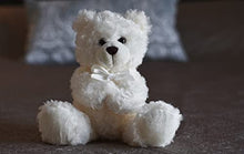Load image into Gallery viewer, Unique Children&#39;s Sympathy Gift for Grieving Child Stuffed Animal Angel Bear Plush and Condolences Card Funeral Memorial Comfort Children for Loss of Loved One
