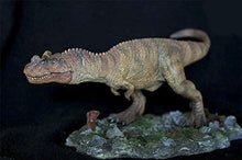 Load image into Gallery viewer, ITOY Ceratosaurus Dinosaur Model Toy Collectable Art Figure
