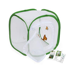 Load image into Gallery viewer, RESTCLOUD Insect and Butterfly Habitat Cage Terrarium Pop-up 12 X 12 X 12 Inches with Zipper Protection
