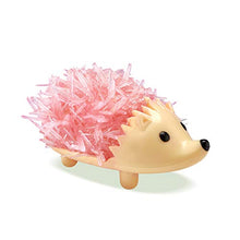 Load image into Gallery viewer, MindWare Crystal Growing Kits: Hedgehogs Bright Colors Set of 2  Cute DIY Crystal Growing Kits for Kids &amp; Teens  Funky Mini Science Experiment in an 9pc kit  Crystals Grow in 24 Hours
