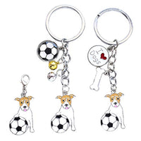 NUOBESTY 3pcs Soccer Keychains for Kids Party Favors Supplies Dog Animal Keychain Bone Key Ring Key Holder High School Graduation Gift