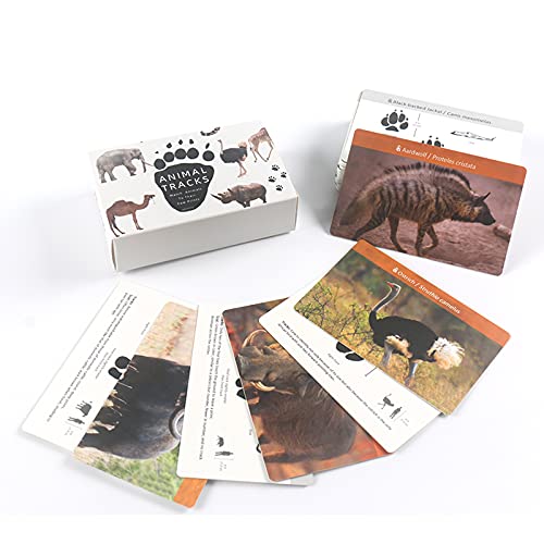 Animal Track Game Preschool Flash Cards for Kids Ages 3-5 Year Old