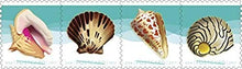 Load image into Gallery viewer, USPS Seashells Postcard Stamps, Roll of 100
