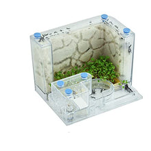 Load image into Gallery viewer, Transparent Ant House Fill Clay Sand Ants Farm Insect Nest Ecology Habitat Professional Ant Villa (Color : Square 13x14x18cm)
