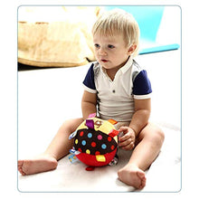 Load image into Gallery viewer, Colorful Taggies Chime Ball - Soft Plush Sensory Rattle Toy as for Babies Kids Toddlers Infants
