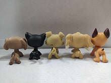 Load image into Gallery viewer, 5 lot Littlest Pet Shop LPS Great Dane Dog Dachshund Dog Collie Cat Kitty Figure Toys Rare with Accessories
