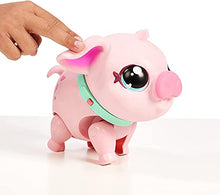 Load image into Gallery viewer, Little Live My Pet Pig with Increditoyz Magic Bottle and Toy Storage Bag Gift Set
