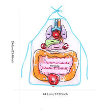 Load image into Gallery viewer, Colorful Educational Organ Apron Foldable Human Body Teaching Equipment Non-Toxic for Children&#39;s Human Cognition
