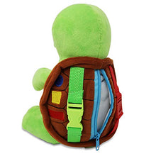 Load image into Gallery viewer, Buckle Toys - Bucky Turtle
