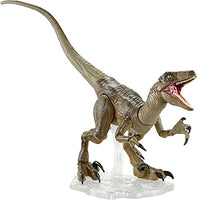 Jurassic World Toys Amber Collection Velociraptor Dinosaur Figure Collectible Toy 6-in Scale, Posable Joints, Authentic Look & Stand for 8 Years Old & Up