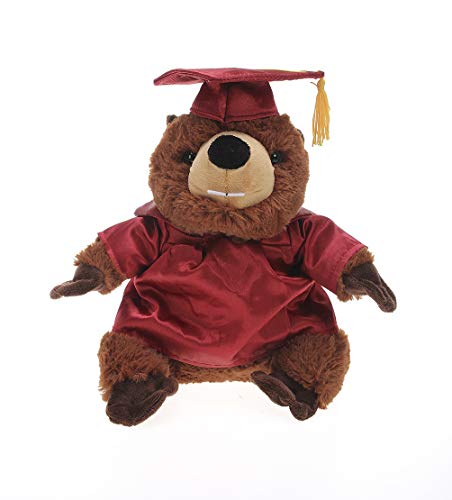 Plushland Beaver Plush Stuffed Animal Toys Present Gifts for Graduation Day, Personalized Text, Name or Your School Logo on Gown, Best for Any Grad School Kids 12 Inches(Maroon Cap and Gown)