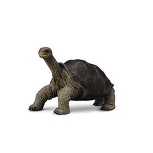 Load image into Gallery viewer, CollectA Wildlife Pinta Island Galapagos Tortoise (Lonesome George) Toy Figure - Authentic Hand Painted Model
