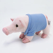 Load image into Gallery viewer, GUND Everyday Signature Pop Mini Pig Stuffed Animal Plush, 11&quot;

