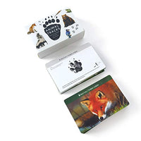 MEROCO Forest Animal Track Game Flash Cards