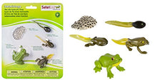 Load image into Gallery viewer, Safari Ltd  Life Cycle of a Frog
