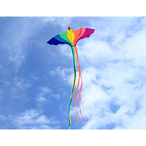 FQD&BNM Kite Phoenix Kite with Long Colorful Tail with Handle Line Outdoor Fun Kids Toy