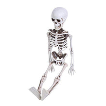 Load image into Gallery viewer, loween Skeleton Prop, loween Hun Skeleton Ornament Trick or Treat Decorations Pretend Play Party Favors(40 cm)
