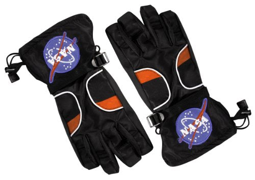 Aeromax Astronaut Gloves, Size Medium, Black, with NASA Patches