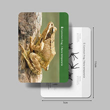 Load image into Gallery viewer, MEROCO Forest Animal Track Game Flash Cards
