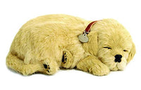 Original Petzzz Golden Retriever, Realistic, Lifelike Stuffed Interactive Pet Toy, Companion Pet Dog