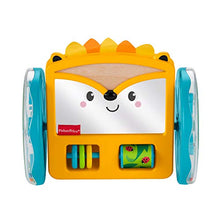 Load image into Gallery viewer, Fisher-Price Play &amp; Crawl Hedgehog Mirror
