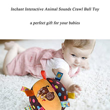 Load image into Gallery viewer, Inchant Interactive Animal Sounds Crawl Ball Toy for Babies and Toddlers - Colorful Tags Chime Ball - Soft Plush Sensory Rattles for Boys and Girls
