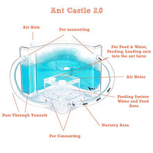 Load image into Gallery viewer, NAVADEAL Ant Farm Castle 2.0 with Connecting Tube, Ant Habitat Science Learning Kit, Best STEM 2021 Educational Kids Toy, Study Insect Behavior at Home &amp; School, Plant Based Blue Gel 3D Maze Ecosystem
