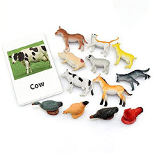 Load image into Gallery viewer, Farm Animal Toys with Flash Cards - 12 Sets of Realistic Animal Figures - Educational Learn Cognitive Toys &amp; Animal Matching Game Playset for Toddlers Kids
