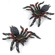 Load image into Gallery viewer, BURTINAR 2 PCS Realistic Spider Figures, Giant Toy Spider Animal Model, Halloween Prank Props Party Decorations, Can Also Be Used for Doys, Gifts for Girl Education and Learning (Thick-Legged Spider)
