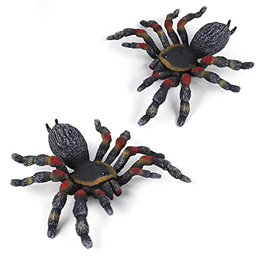 BURTINAR 2 PCS Realistic Spider Figures, Giant Toy Spider Animal Model, Halloween Prank Props Party Decorations, Can Also Be Used for Doys, Gifts for Girl Education and Learning (Thick-Legged Spider)