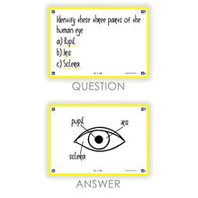 Load image into Gallery viewer, Oxford Flash 2.0 Pack of 80 Flash Cards a6 Yellow
