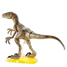 Load image into Gallery viewer, JURASSIC WORLD AMBER COLLECTION Velociraptor
