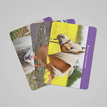 Load image into Gallery viewer, Animal Tracks Game Animal Flash Cards for Kids Ages 4-8 Preschool Learning Toys for 4 Year Old
