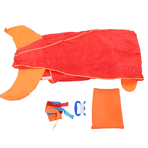 Drfeify Dolphin Kids Kite Polyester 3D Cartoon Beach Kite Outdoor Fun Toys for Kids Joy Time(Blue)