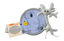 Load image into Gallery viewer, Giant Microbes Brain Cell (Neuron) Plush Toy
