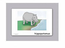 Load image into Gallery viewer, Yo-Yee Flash Cards - Zoo and Animal Picture Cards - English Vocabulary Picture Cards for Kindergarten - Including Teaching Activities and Game Ideas
