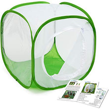 Load image into Gallery viewer, RESTCLOUD Insect and Butterfly Habitat Cage Terrarium Pop-up 12 X 12 X 12 Inches, Polyester Bottom for Easier Clean

