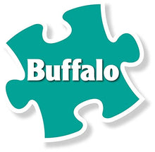 Load image into Gallery viewer, Buffalo Games - Signature Collection - Cinque Terre - 1000 Piece Jigsaw Puzzle
